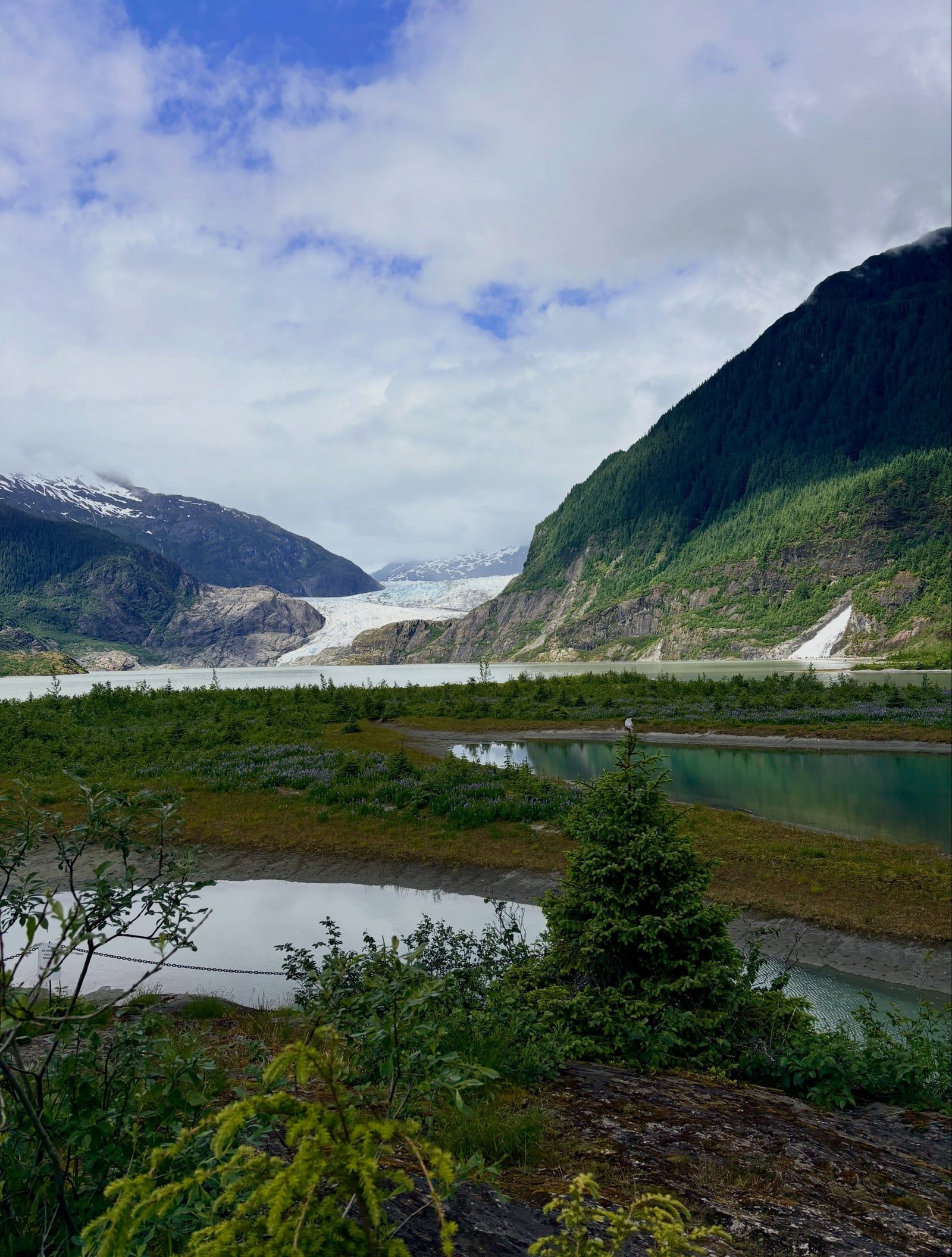 Ansicht von Mendenhall-Gletscher